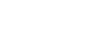 logo_light