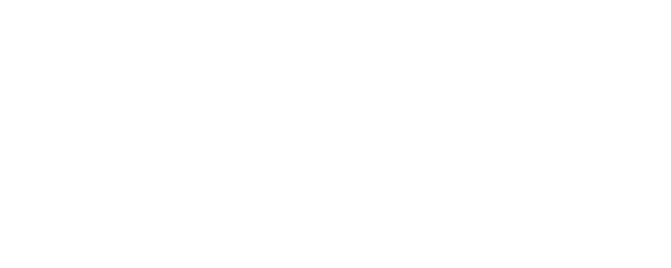 logo_light